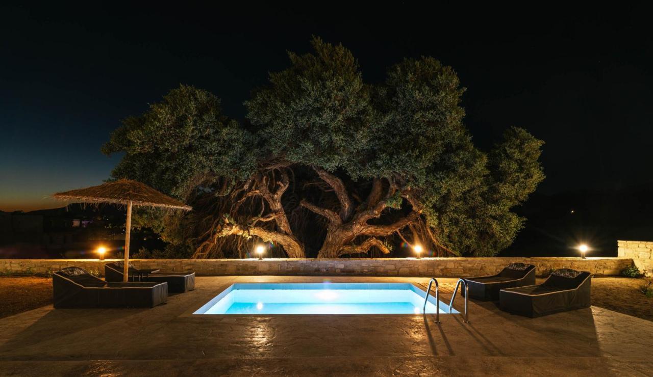 Vila Kedros Katikies Kalamaki  Exteriér fotografie